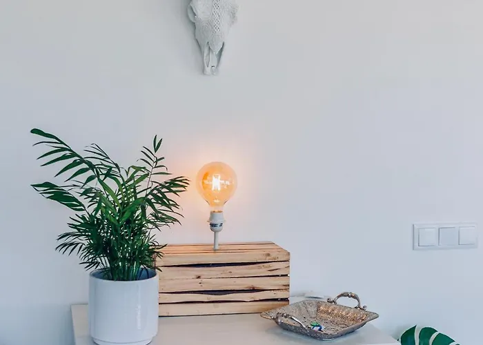 Hébergement de vacances Estrela